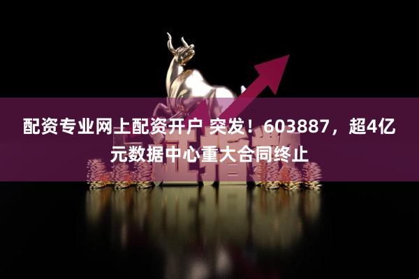 配资专业网上配资开户 突发！603887，超4亿元数据中心重大合同终止
